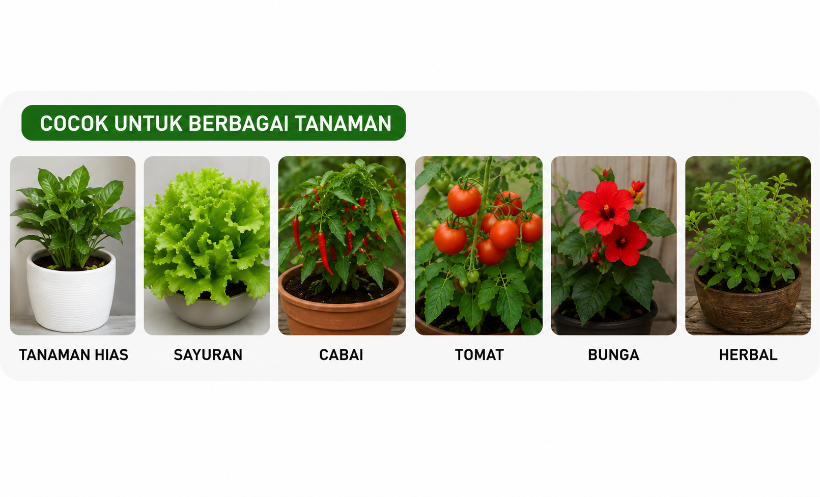 Produk 5